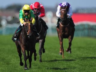 There's competitive racing from Ayr on Monday